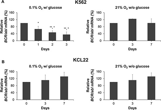 BCR/abl mRNA expression under oxygen or glucose shortage.