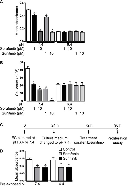 Acidity decreases the anti-proliferative efficacy of sorafenib and sunitinib.