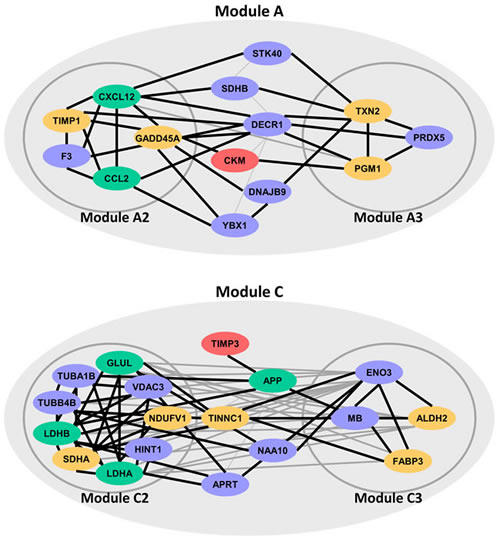 ICM potential genes locating in or mediating four sub-modules (Module A2, A3, C2 and C3).