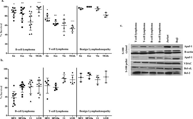 Primary cells from B cell lymphoma patients are resistant to conventional chemotherapeutic agents and contain significantly lower cytosolic Apaf-1: