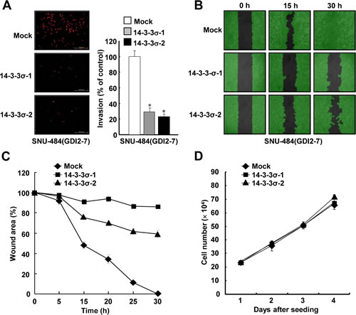 Ectopic expression of 14-3-3&#x3c3; suppresses RhoGDI2-induced gastric cancer cell migration and invasion.