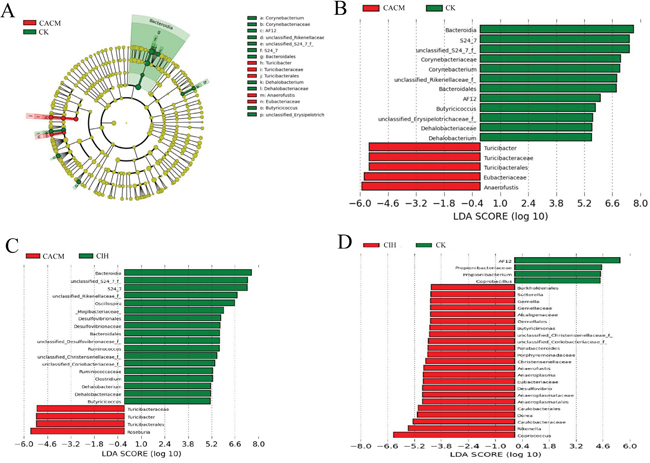 Differences in the community structures of gut microbes among the CACM, CIH, and CK mice.