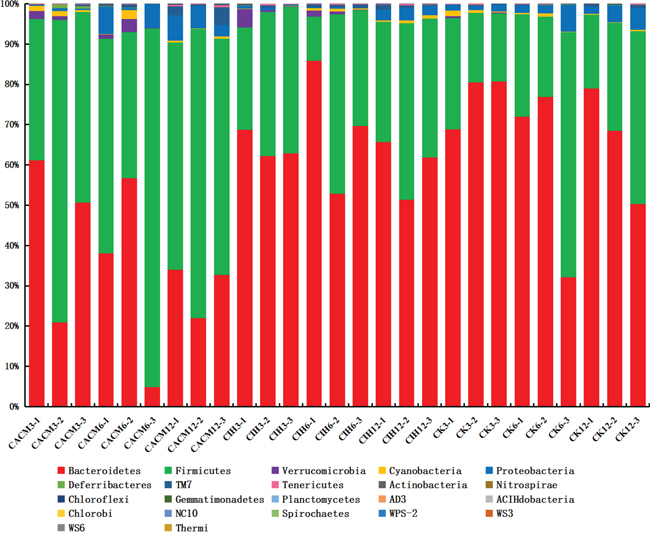 Relative abundance of the main phyla in the intestinal microbiota.