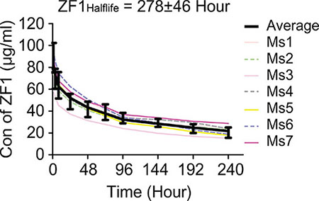 Pharmacokinetic analysis of ZF1.