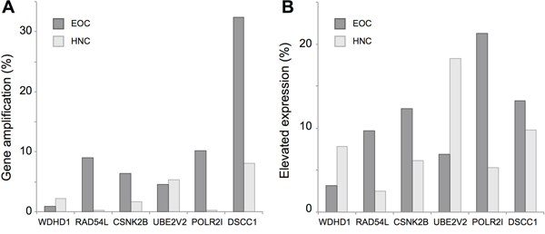 Copy number variation (CNV) and genes expression for cisplatin resistance genes based on TCGA profiling.