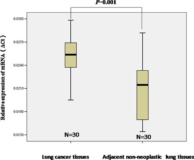 The relative levels of STIM1 mRNA expression was detected by qRT-PCR.