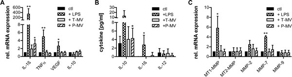 Tumor vesicles do not induce typical M2 features in M&#x3a6;.