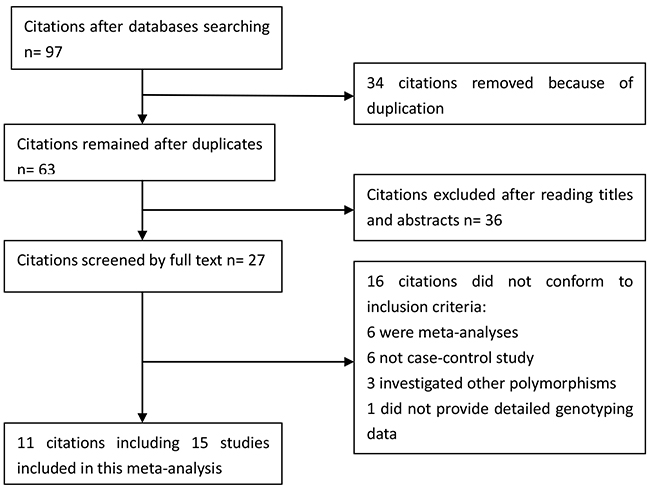 Selection for eligible citations included in this meta-analysis.