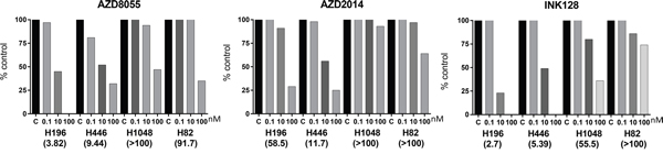 Cell growth inhibition to mTORC inhibitors in SCLC cell lines with RICTOR CNV.