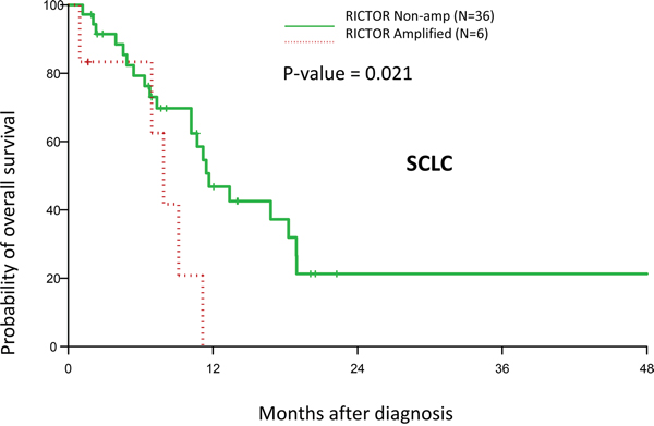 Effect RICTOR amplification on clinical outcome.