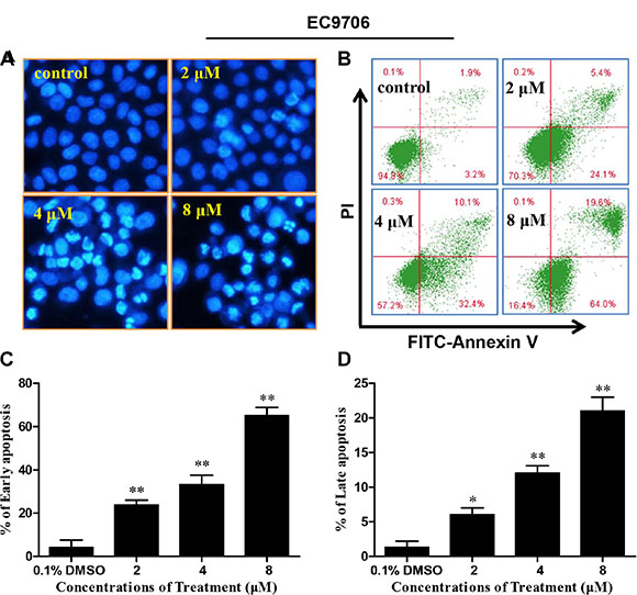 DS2 inhibits viability of EC9706 cells in association with apoptosis induction.