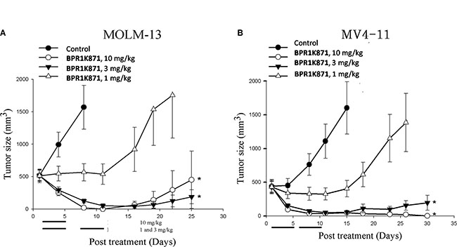 In vivo antitumor effect of BPR1K871 in human acute myelogenous leukemia xenograft nude mice model.