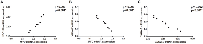 Correlation between the studied genes mRNA expression in MYC-silenced AGP01, ACP02 and ACP03 gastric cancer cell lines.