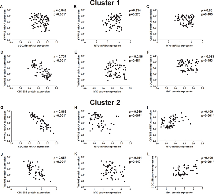Correlation between mRNA and protein expression in two cluster of gastric cancer samples.
