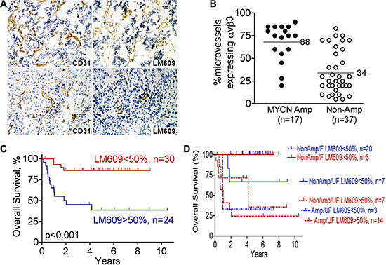 Higher expression of integrin &#x03B1;v&#x03B2;3 on microvessels of high-risk stage 3 neuroblastoma.