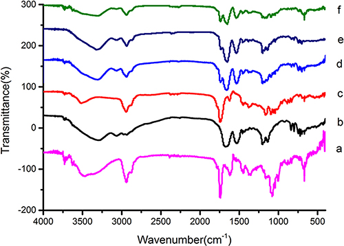 FTIR spectrum of PPM (a), OCT (b), SPP (c), OCT(Phe)&#x2013;S-PPM (d), OCT(Lys)-S-PPM (e), OCT-2S-2PPM (f).