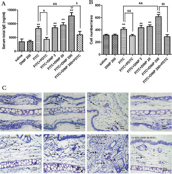 Figure 2: