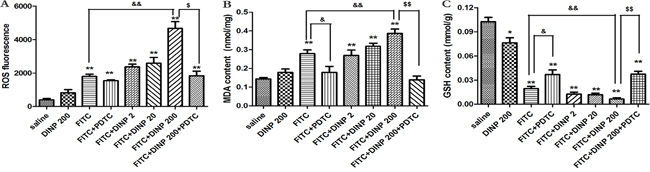 Figure 4: