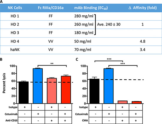 Comparative affinities of CD16 allotypes and factors influencing haNK-mediated lysis.