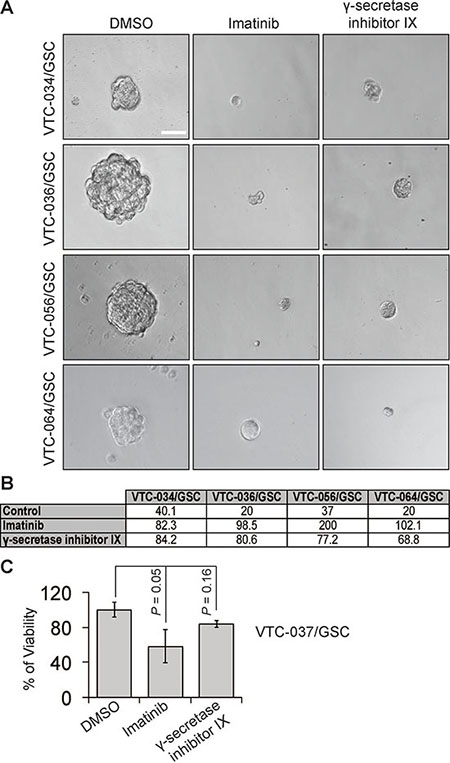 The effect of imatinib and &#x03B3;-secretase inhibitor IX on patient-derived GSCs.