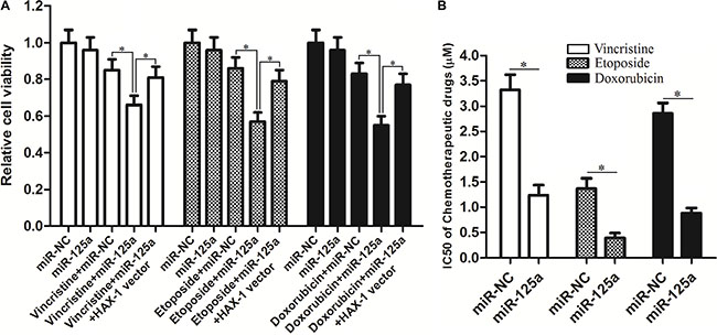 Effect of miR-125a on Hep-2-CSCs multidrug sensitivity.