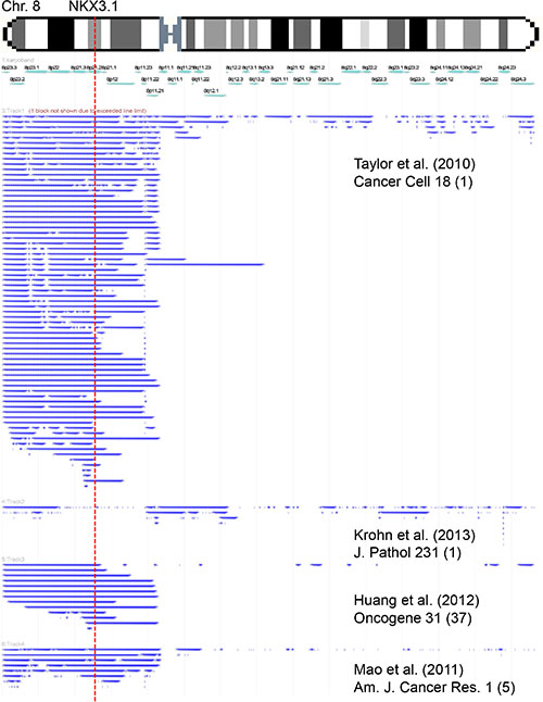 Size and extension of chromosome 8 deletions detected in published microarray-based copy number studies.