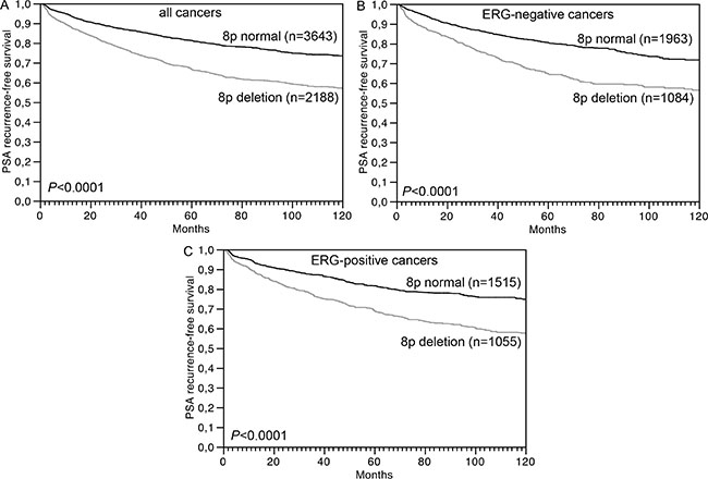 Association between 8p deletion and biochemical (PSA) recurrence in (A) all cancers (n = 6,375), (B) ERG-negative cancers (n = 3,231), and (C) ERG-positive cancers (n = 2,738).