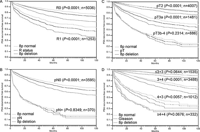 Association between 8p deletion and biochemical (PSA) recurrence in dependence on (A) resection margin status (R), (B) pathological lymph node status (pN), (C) pathological tumor stage(pT) and (D) classical Gleason grade.