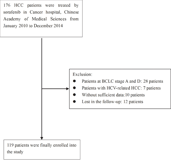 The flowchart describing the selection of the patients.