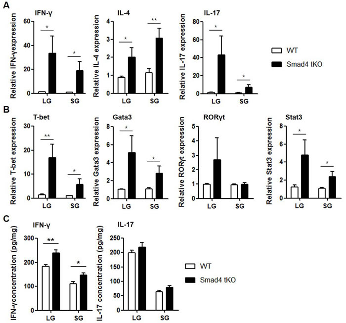 Expression of inflammatory cytokines is increased in exocrine glands from Smad4 tKO NOD mice.