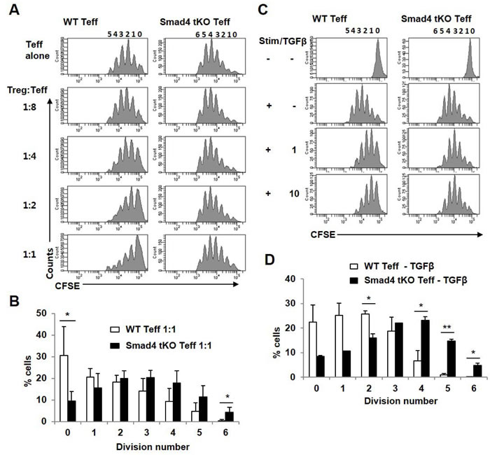 Teff cells from Smad4 tKO NOD mice have restricted sensitivity to Treg cells.