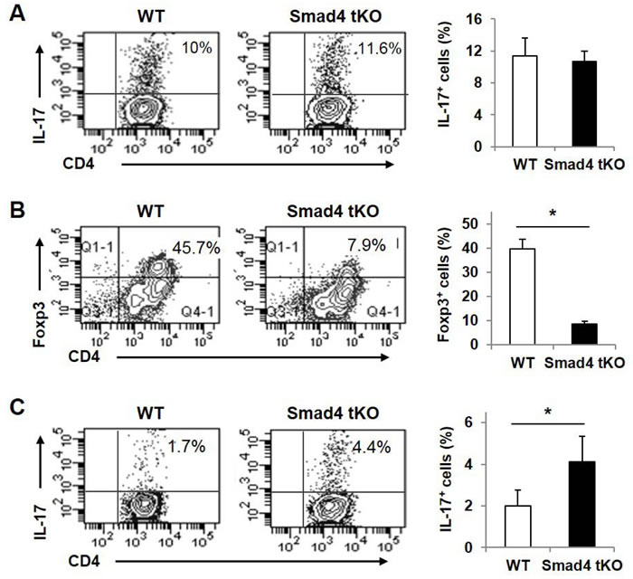 Teff cells from Smad4 tKO NOD mice show reduced Foxp3 expression and increased IL-17 expression under iTreg skewing conditions.