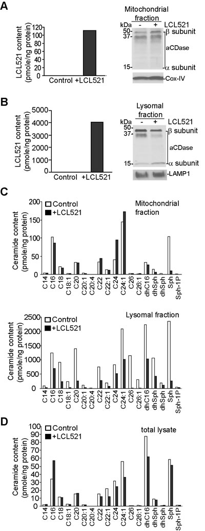 LCL521 targets lysosome and increase total cellular C16 ceramide.