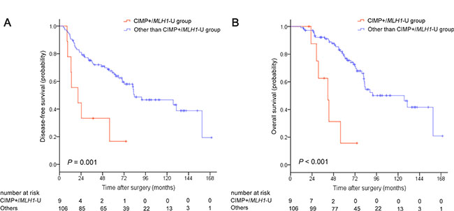 Kaplan-Meier survival estimates in stage II colorectal cancer patients with CIMP+/MLH1-unmethylated tumors compared to the remaining three patient groups.