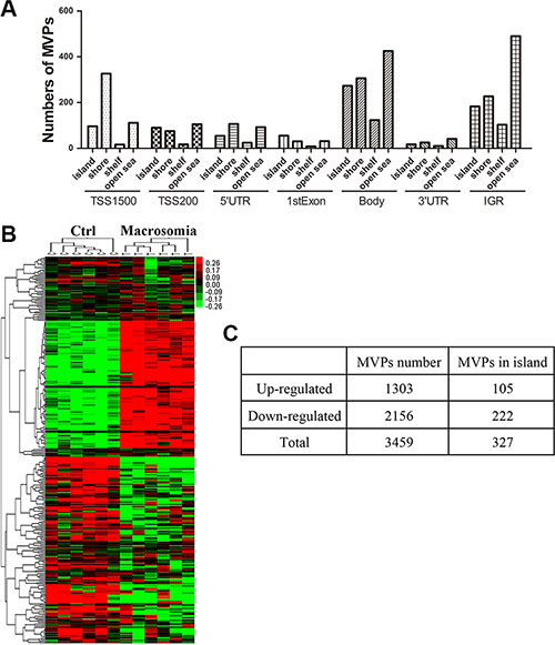 DNA methylation in genomic level altered in cord blood from macrosomia.