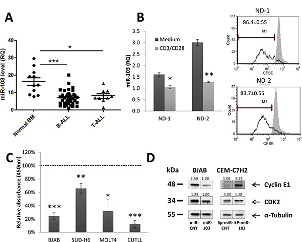 miR-103 upregulation induces inhibition of cell proliferation.