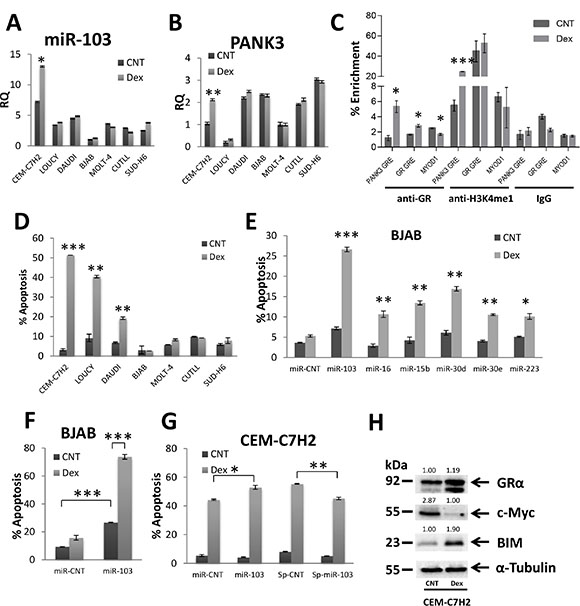 miR-103 sensitizes to GCIA and is regulated by binding of GR to PANK3 enhancer.