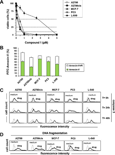 Compound 1 induces apoptosis in A2780, A2780cis, MCF-7, PC3, L-540 cells.