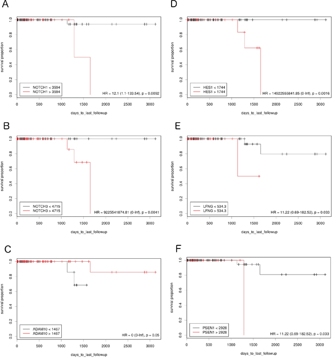 The prognostic effect of Notch member expression on DFS in TN BC.