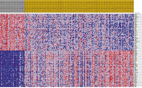 Heatmap of 50 marker genes for NOTCH1 lumA phenotypes.