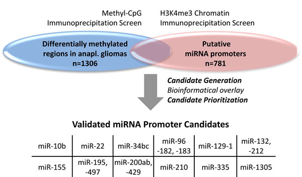 miRNA candidates were generated by the overlay of two data sets.