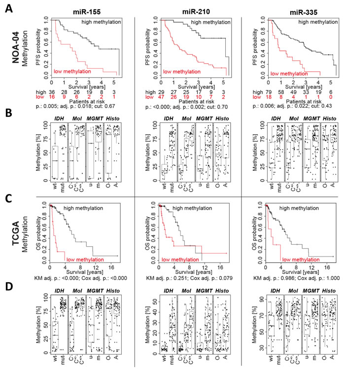 Low promoter methylation of miR-155, miR-210 and miR-335 was associated with a short patient survival.