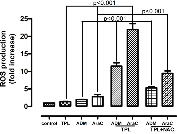 Combined treatment with TPL and araC or ADM induce ROS production in NALM-6/R cells, an event prevented by NAC.