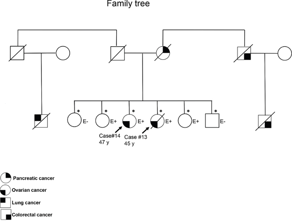 Family tree of the two sisters with ovarian cancer harboring the BRCA2 VUS p.S1946P.