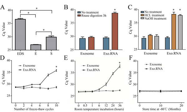 General characterization of the exosomal CRNDE-h.