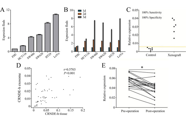 Exosomal CRNDE-h can enter serum at measurable levels.