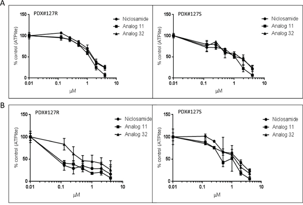 Anti-proliferative effect of niclosamide and analogs 11 and 32 on PDX mouse model cells.