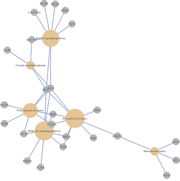 KEGG pathways, which are over-represented by differentially expressed genes (Caco-2 cell line).