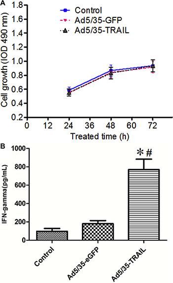 Adenovirus-transduced CTL function.