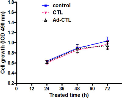 The effect of Ad5/35-TRAIL-CD40L-CTL (Ad-CTL) on normal HFF cell proliferation.